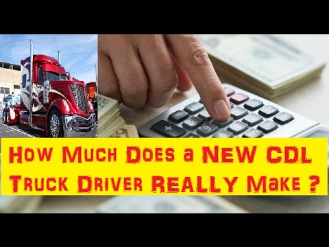How Much Truck Drivers Make - betsever